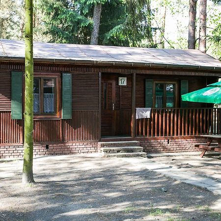 Hotel Lesna Ryba Jedlanka Stara Camera foto