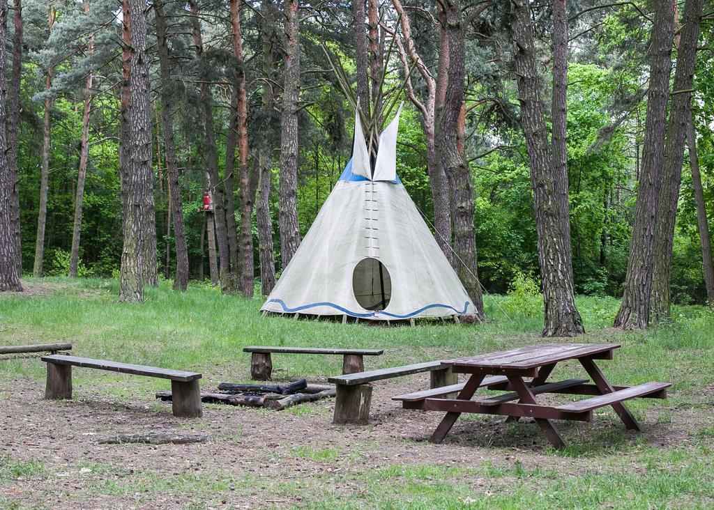 Hotel Lesna Ryba Jedlanka Stara Esterno foto